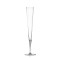 Vaganza Champagne Flutes (set of 2)
